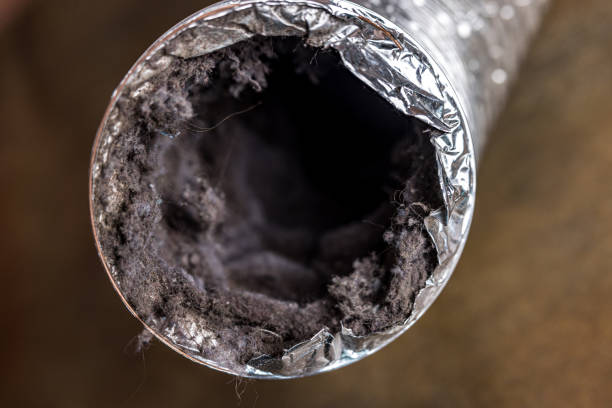 Best Home Air Vent Cleaning  in Fairbury, NE